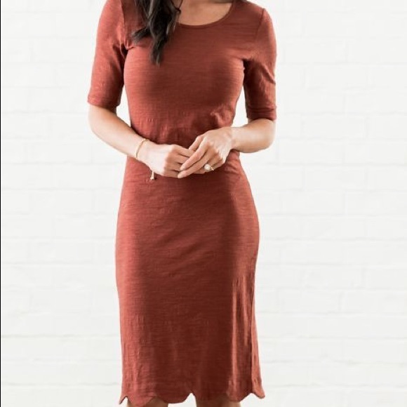 burnt orange fitted dress